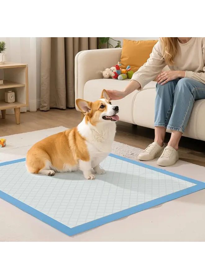 21 Pcs Disposable Pet Urine Pads Large Size for Cats Dogs Puppies Kittens Rabbits Training - Image 2