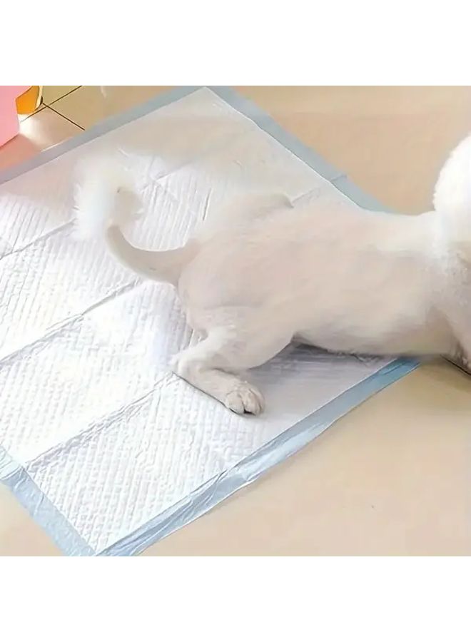 21 Pcs Disposable Pet Urine Pads Large Size for Cats Dogs Puppies Kittens Rabbits Training - Image 5