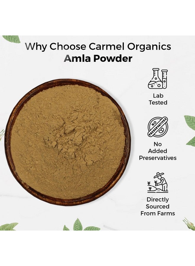 CARMEL ORGANICS CARMEL ORGANICS Amla Fruit Powder 340 Grams For Your Health and Hair Care| Jaivik Bharat Certified | Indian gooseberries | Malanelli,Amalakkamu,Usirikai Powder | No Added Preservatives  - Image 2