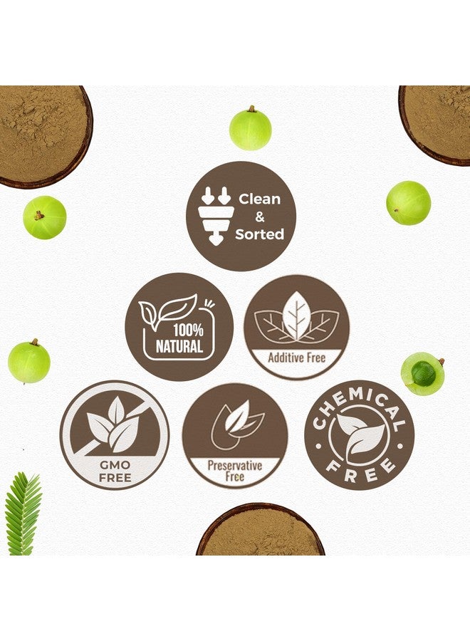 CARMEL ORGANICS CARMEL ORGANICS Amla Fruit Powder 340 Grams For Your Health and Hair Care| Jaivik Bharat Certified | Indian gooseberries | Malanelli,Amalakkamu,Usirikai Powder | No Added Preservatives  - Image 3