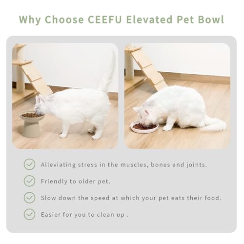CEEFU Extra Wide Elevated Ceramic Cat Bowl, 6.2" Shallow Dish for Whisker Fatigue Relief, 5" Height for Easy Feeding, Durable Raised Cat Food Bowls, Pack of 2, Pottery Clay (Not Glazed) - Image 3