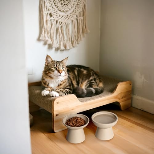 CEEFU Extra Wide Elevated Ceramic Cat Bowl, 6.2" Shallow Dish for Whisker Fatigue Relief, 5" Height for Easy Feeding, Durable Raised Cat Food Bowls, Pack of 2, Pottery Clay (Not Glazed) - Image 5
