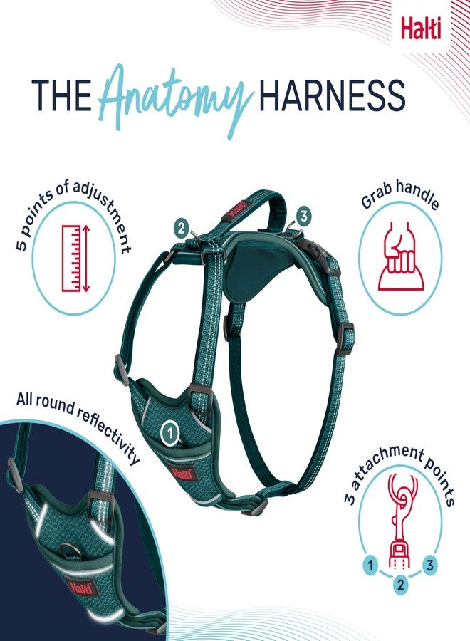 Halti Anatomy Dog Harness with Handle - Padded, Adjustable & Reflective No Pull Dog Harness, 3 Leash Attachment Points Including Front Clip, Suitable for Large Dogs (Size L, Teal) - Image 3