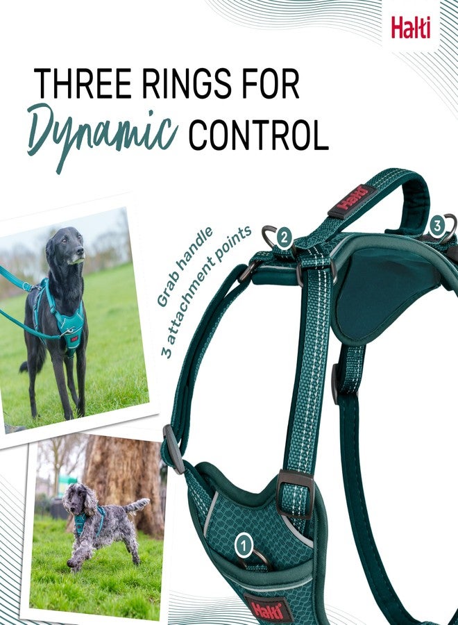 Halti Anatomy Dog Harness with Handle - Padded, Adjustable & Reflective No Pull Dog Harness, 3 Leash Attachment Points Including Front Clip, Suitable for Large Dogs (Size L, Teal) - Image 5
