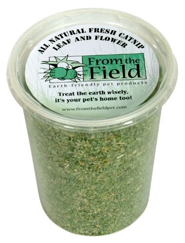 from The Field | Organic Catnip Leaf & Flower Blend for Cats & Kittens | Fresh USA-Grown, Highly Aromatic, Non-Toxic, Eco-Friendly | 3.5 oz Resealable Tub for Long-Lasting Potency & Active Playtime - Image 2