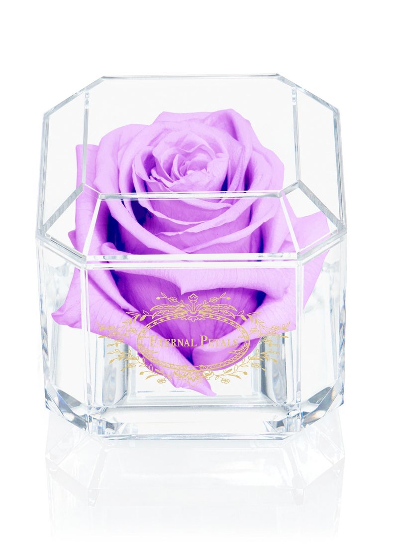 Eternal Petals,  A 100% Real Rose That Lasts Years - Gold Solo (Lilac) - pzsku/Z5DA1605B615E69232711Z/45/_/1645696224/be5b75ea-e49e-46f7-a83f-f79c0070f10b