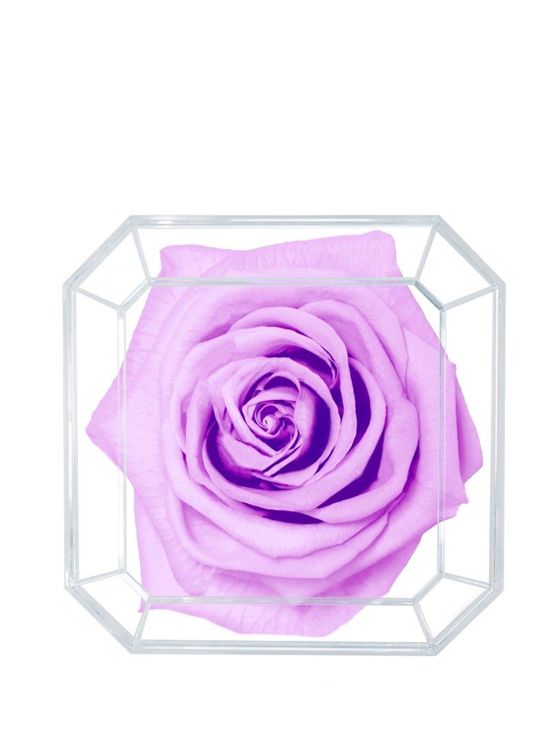 Eternal Petals,  A 100% Real Rose That Lasts Years - Gold Solo (Lilac) - pzsku/Z5DA1605B615E69232711Z/45/_/1645697215/77802ccc-a83c-4e94-867c-0e09dae6c280