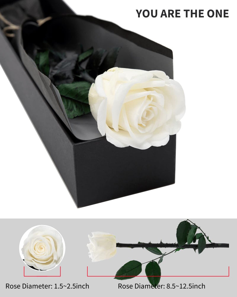 SofLiv White Flowers for Delivery Prime, Preserved White Roses Flower Gifts for Women, Real Roses Single Rose Gifts for Her, Mom Birthday Gifts from Daughter, Valentines Flowers - Image 2