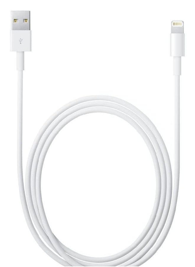 JOYFOCUS - 2-In-1 Apple EarPods with Lightning Connector And Lightning to USB Cable For Apple iPhone White - Image 1