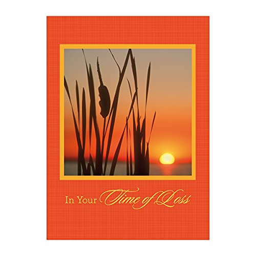 Paper Craft IG75109-RE Religious Sympathy Card Assortment Box with Envelopes, 12 Cards, 4.75'' W x 6.5'' H, Sunset Photography - Image 4