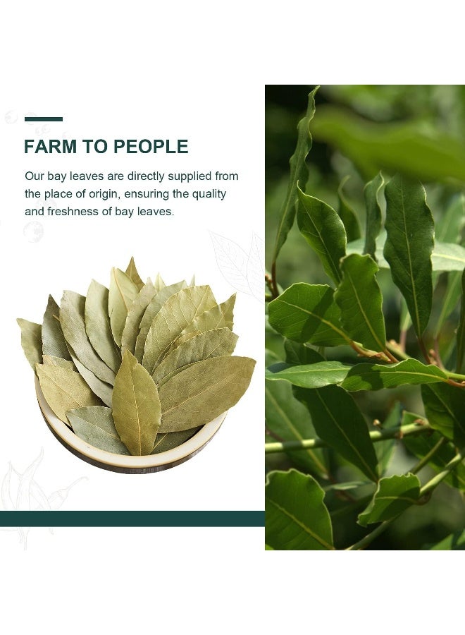 Soeos Whole Bay Leaves - 2 oz (57g) - Image 4