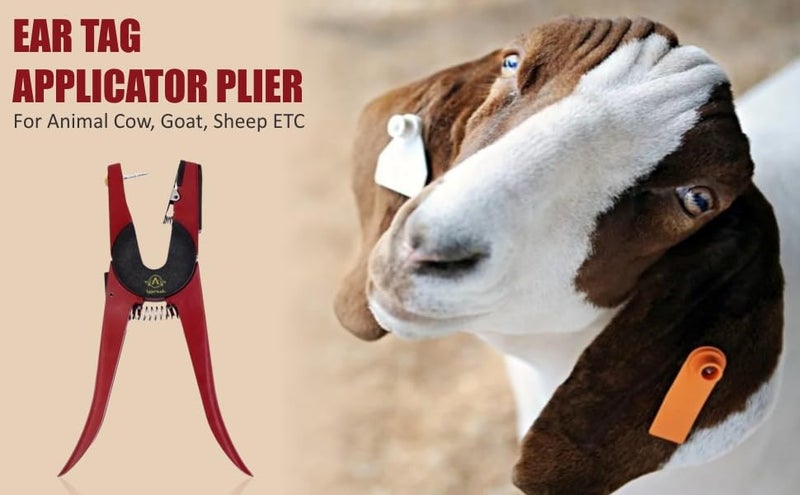 Agarwals Ear Tag Applicator Plier for Animal Cow,Goat,Sheep ETC - Image 3