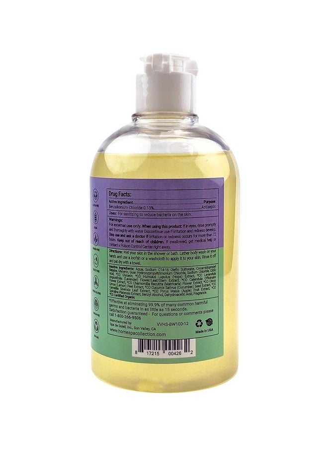 vita vie VITA VIE Antibacterial Body Wash, 12 oz  - Image 2