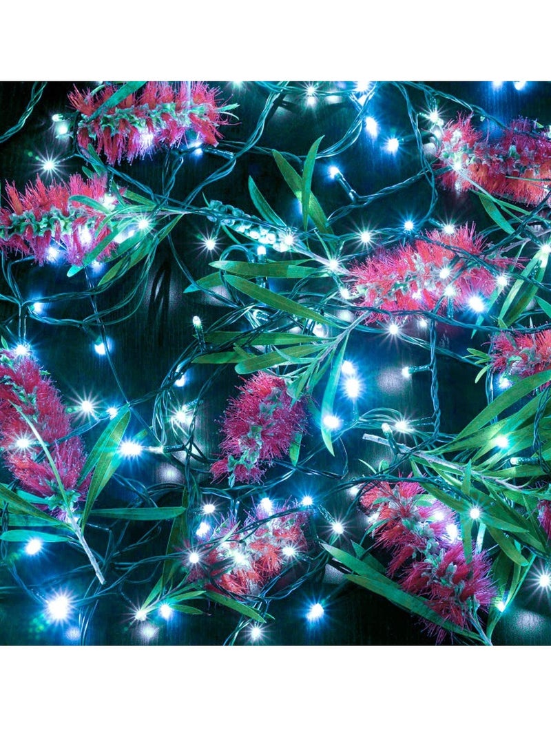 PAMEER - Cool White 70ft 258 LEDs String Lights Black Wire Plug-in LEDs String for Home Decorative LED Strip for Christmas Xmas Tree EID Ramadan Diwali and Wedding Parties Decoration Box Button Control 8 Modes - Image 1