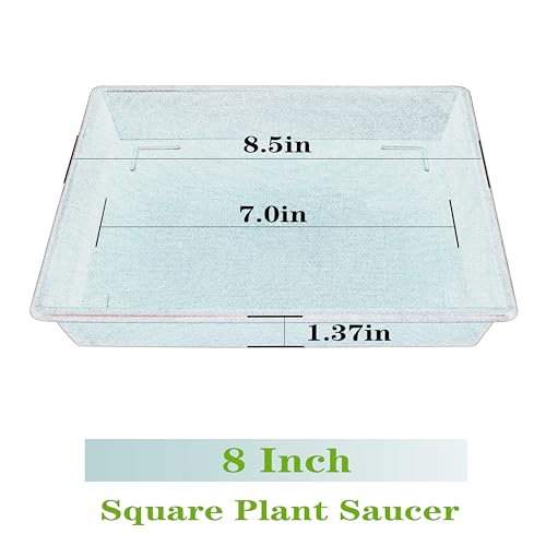 NIMYAU Square Plant Saucer 8 Inch 2 Pack 6 8 10 12 14 16 18 20 Inch, Plant Trays for Pots Heavy Duty Plastic Plant Saucers for Indoors Outdoors, Flower Pot No Holes Plant Drip Trays - Image 2