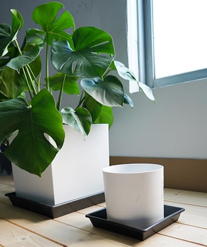 NIMYAU Square Plant Saucer 8 Inch 2 Pack 6 8 10 12 14 16 18 20 Inch, Plant Trays for Pots Heavy Duty Plastic Plant Saucers for Indoors Outdoors, Flower Pot No Holes Plant Drip Trays - Image 4