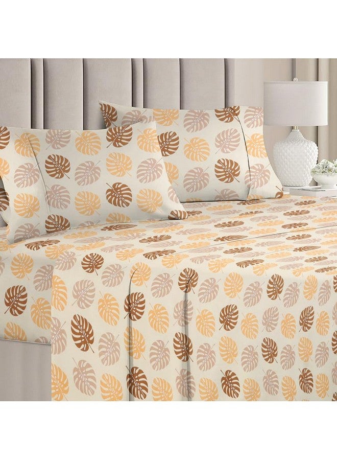 BSB HOME BSB HOME Premium Pure Cotton 220 TC Flat Double Bed Bedsheets for Summer Breathable | Wrinklefree (Size-220 x 230 Cm) with 2 Pillow Covers (Size-17 X 27 Inches, Beige & Brown)  - Image 1