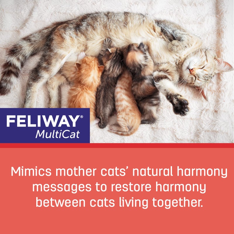 Feliway فيرومون مهدئ للقطط من فيليواي، عبوة قابلة لإعادة التعبئة لمدة 30 يومًا - عبوة واحدة - Image 3