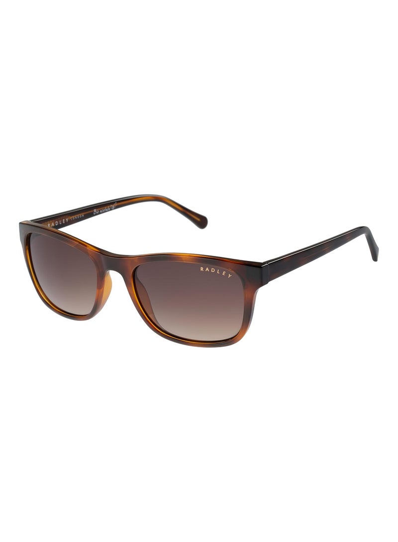 Radley RDS-6526 Women Petite Classic Square Style Sunglasses Brown 54 mm - Image 1