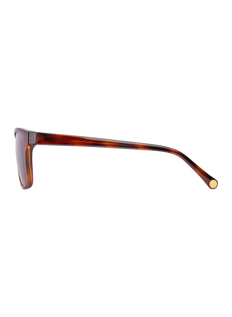 Radley RDS-6526 Women Petite Classic Square Style Sunglasses Brown 54 mm - Image 3