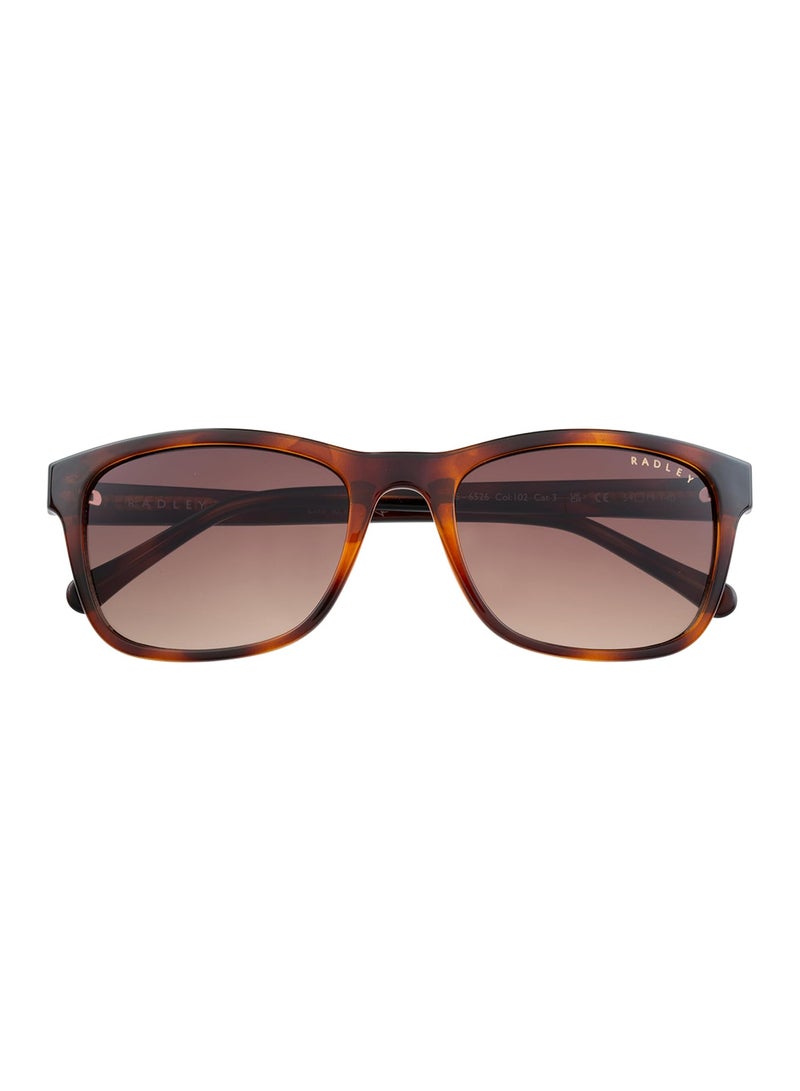 Radley RDS-6526 Women Petite Classic Square Style Sunglasses Brown 54 mm - Image 2