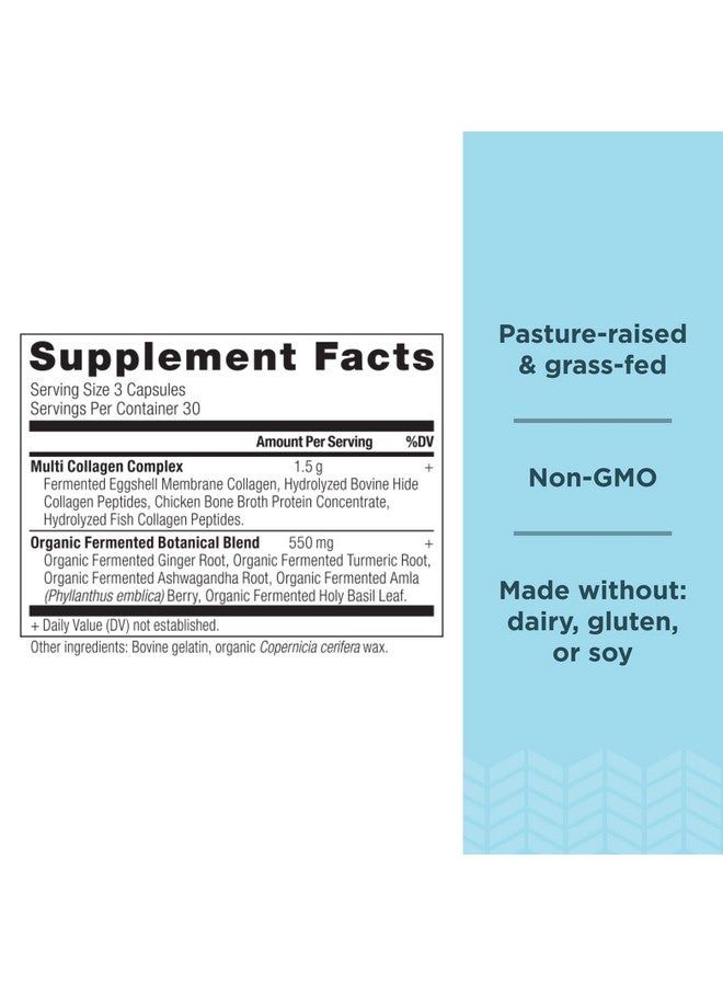 آينشنت نيوترشن حبوب ببتيدات الكولاجين من شركة Ancient Nutrition، مكمل غذائي متعدد الكولاجين المحلل، الأنواع I وII وII وV وX، يدعم صحة البشرة والأظافر وصحة الأمعاء والمفاصل، 90 كبسولة - Image 2