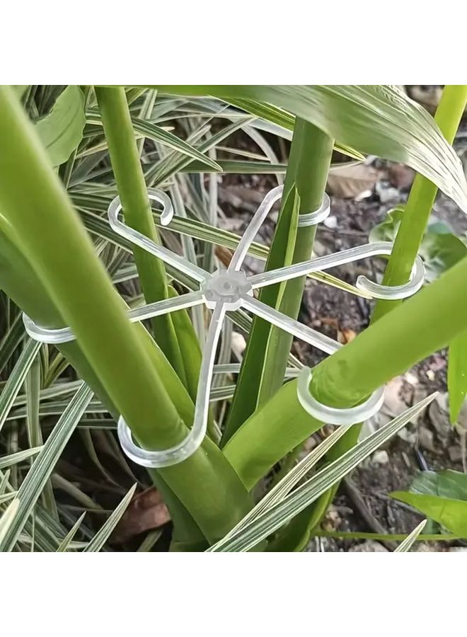 Green Plant Support Clips 4 Pack Durable Plastic Frame For Indoor Outdoor Climbing Plants - Image 2
