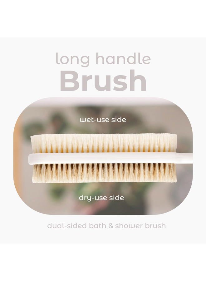 MainBasics Back Scrubber for Shower, Long Handle Body Brush with Dual-Sided Exfoliating and Soft Bristles, 15.75 Inch (White) - Image 2