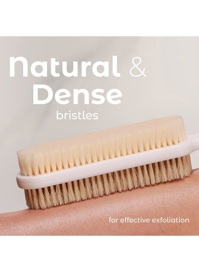 MainBasics Back Scrubber for Shower, Long Handle Body Brush with Dual-Sided Exfoliating and Soft Bristles, 15.75 Inch (White) - Image 3