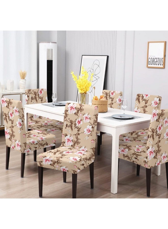 BRIDA® Polyester Spandex Stretchable Floral Geometric Printed Dining Chair Covers Elastic Chair Seat Case Protector, Slipcovers (6 Chair Cover, Beige Pink) - Image 5