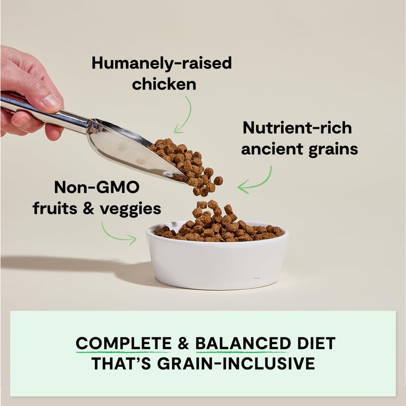 Open Farm, Ancient Grains Dry Dog Food, Protein-Rich & Nutrient Dense, 90% Animal Protein Mixed with Non-GMO Fruits, Veggies and Superfoods, Harvest Chicken Recipe, 22lb Bag - Image 2