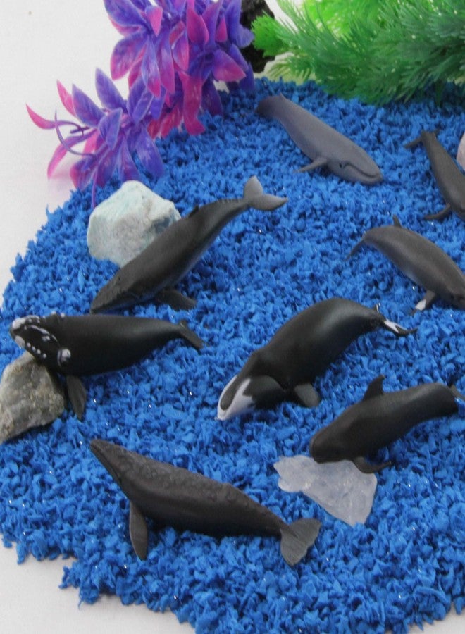 Safari Ltd. Whales TOOB - 10 Mini Plastic Whale Figurines - Educational Ocean Animal Toy Figure Set for Boys, Girls and Kids Ages 3+ - Image 2