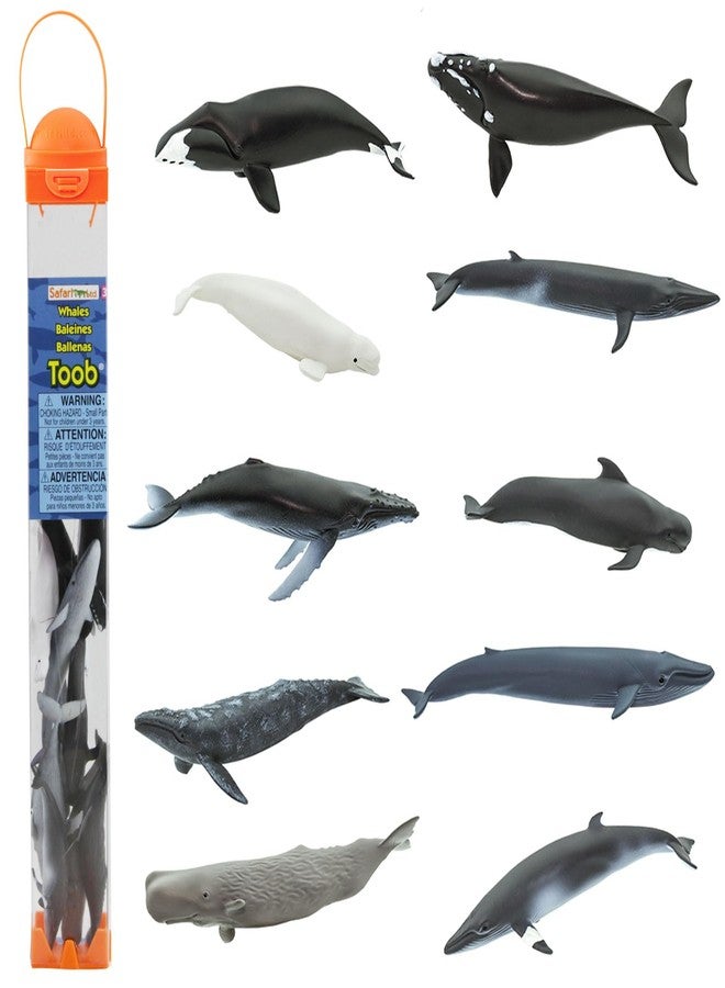 Safari Ltd. Whales TOOB - 10 Mini Plastic Whale Figurines - Educational Ocean Animal Toy Figure Set for Boys, Girls and Kids Ages 3+ - Image 1
