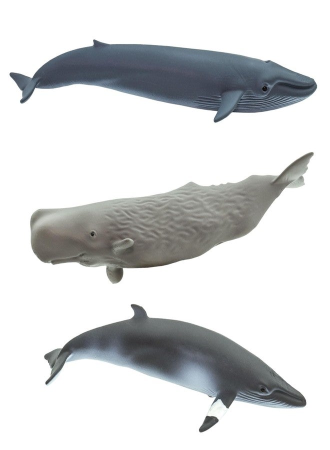 Safari Ltd. Whales TOOB - 10 Mini Plastic Whale Figurines - Educational Ocean Animal Toy Figure Set for Boys, Girls and Kids Ages 3+ - Image 4