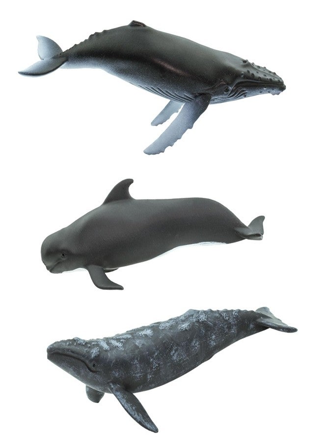 Safari Ltd. Whales TOOB - 10 Mini Plastic Whale Figurines - Educational Ocean Animal Toy Figure Set for Boys, Girls and Kids Ages 3+ - Image 3