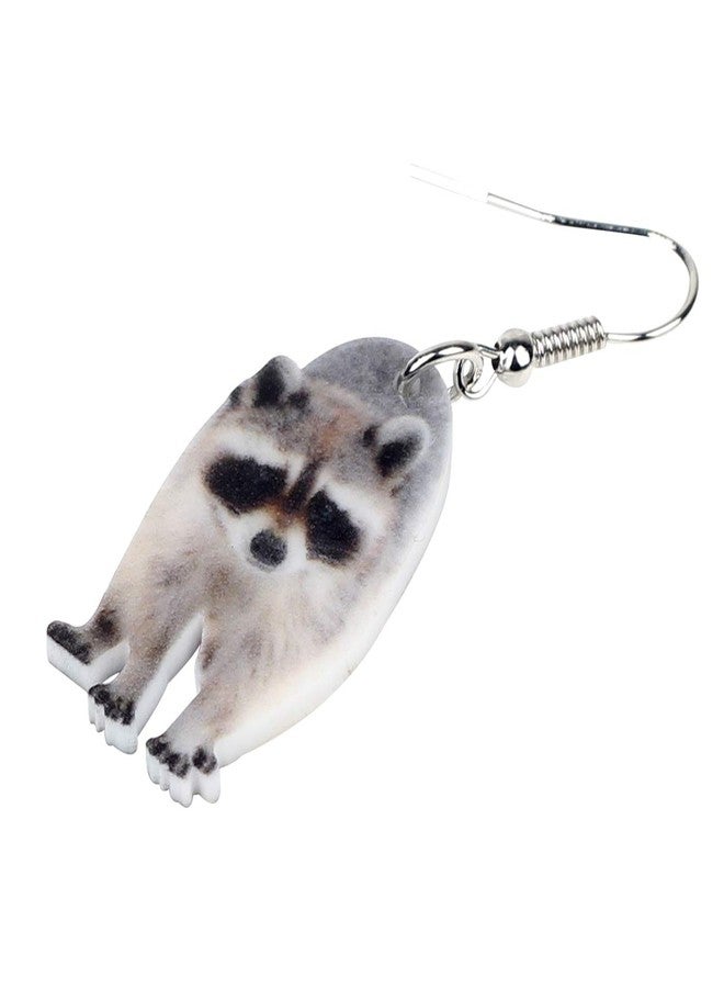 NEWEI Acrylic Raccoon Ringtail Earrings Drop Dangle Sweet Wild Animal Jewelry For Women Girl Charms - Image 4