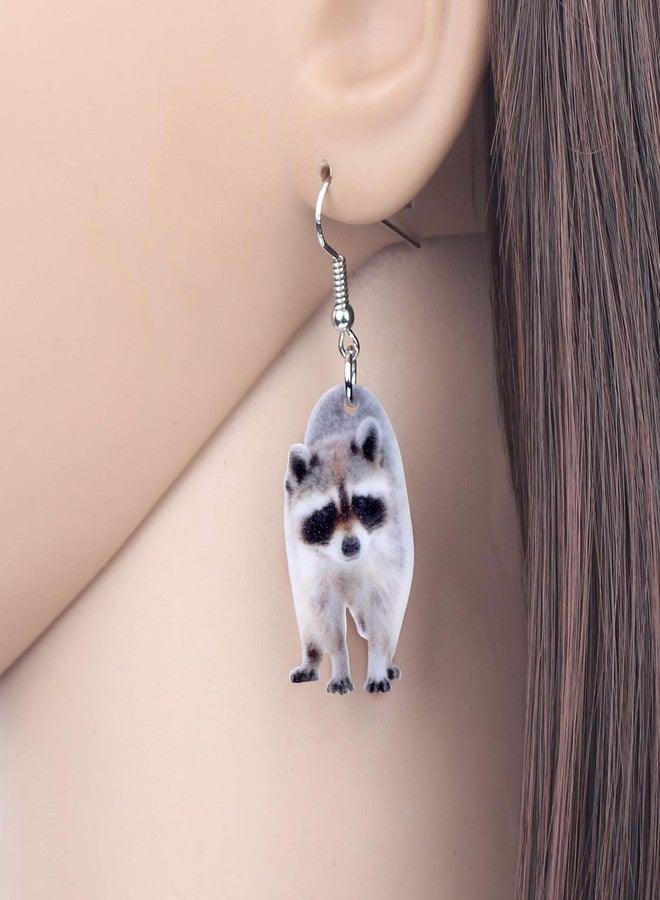 NEWEI Acrylic Raccoon Ringtail Earrings Drop Dangle Sweet Wild Animal Jewelry For Women Girl Charms - Image 2