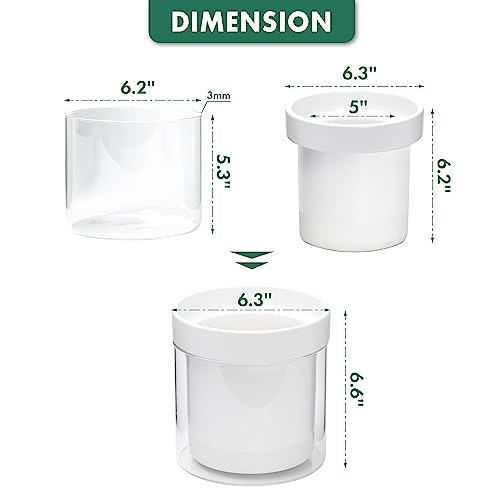 Phoenix Vine 6 Inch Self Watering Planter, White Terracotta Clay Pot with Glass Reservoir for Indoor Plants, Herbs, Flowers, Set of 1, 52-B-F-1 - Image 3