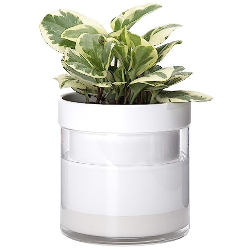 Phoenix Vine 6 Inch Self Watering Planter, White Terracotta Clay Pot with Glass Reservoir for Indoor Plants, Herbs, Flowers, Set of 1, 52-B-F-1 - Image 1