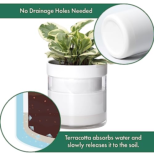 Phoenix Vine 6 Inch Self Watering Planter, White Terracotta Clay Pot with Glass Reservoir for Indoor Plants, Herbs, Flowers, Set of 1, 52-B-F-1 - Image 4