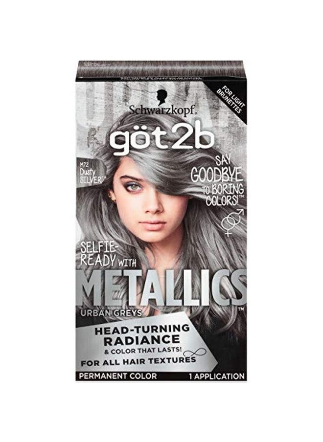 Metallics Permanent Hair Color M72 Dusty Silver - pzsku/Z5DB90EEF4BB71CBB998FZ/45/_/1707979152/fe4b4b6e-9a39-45f3-a105-4d34bfa13837