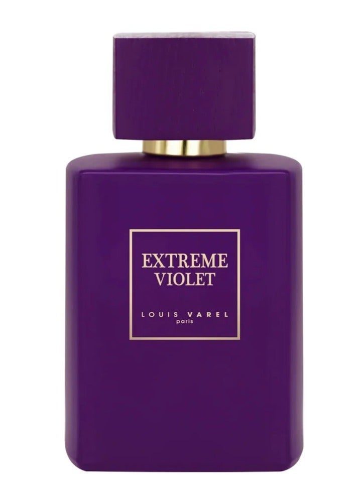 LOUIS VAREL EXTREME VIOLET EDP 100ML PERFUME - Image 1