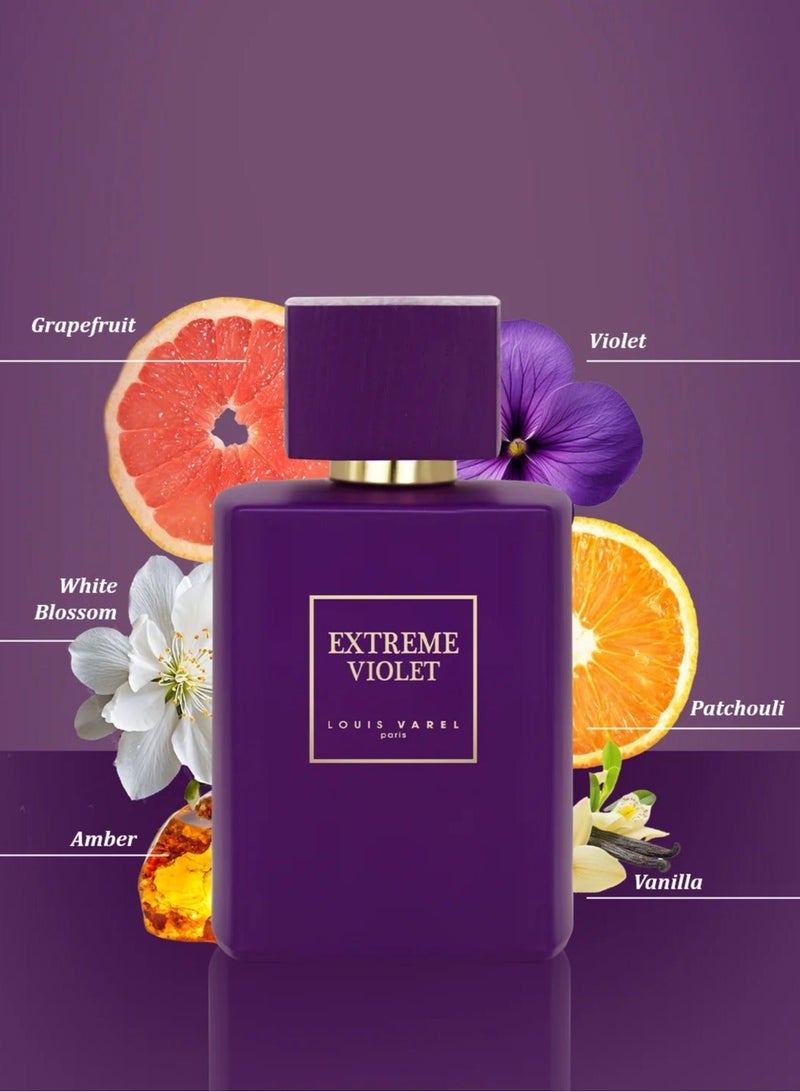LOUIS VAREL EXTREME VIOLET EDP 100ML PERFUME - Image 3