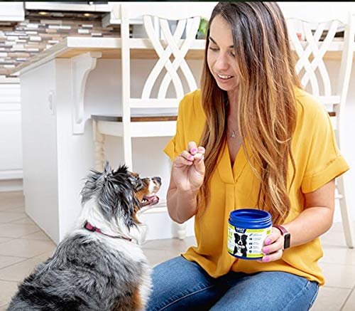 Vetericyn All-in 1 Multifunctional Dog Supplement | Digestive Enzymes + Glucosamine and Chondroitin for Bone and Joint Support + Vitamins, Antioxidants, Prebiotics, Probiotics, and Omegas. 90 Count - Image 2