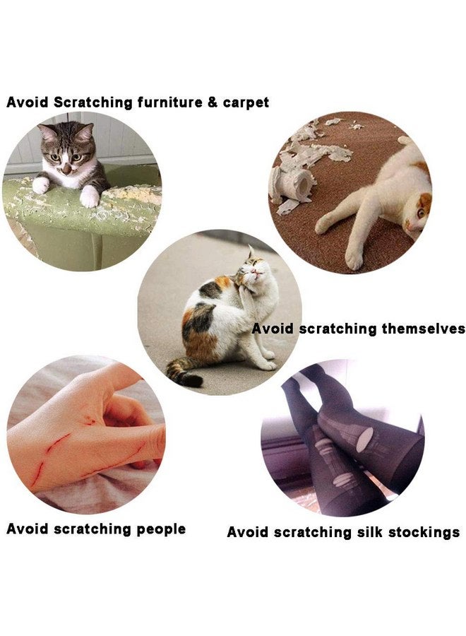 يمكول 100 قطعة من أغطية أظافر القطط/أطراف أظافر القطط الأليفة وأغطية مخالب القطط الصغيرة و10 أغطية أظافر و5 قطع من الغراء اللاصق و5 أدوات توزيع مع التعليمات - Image 2