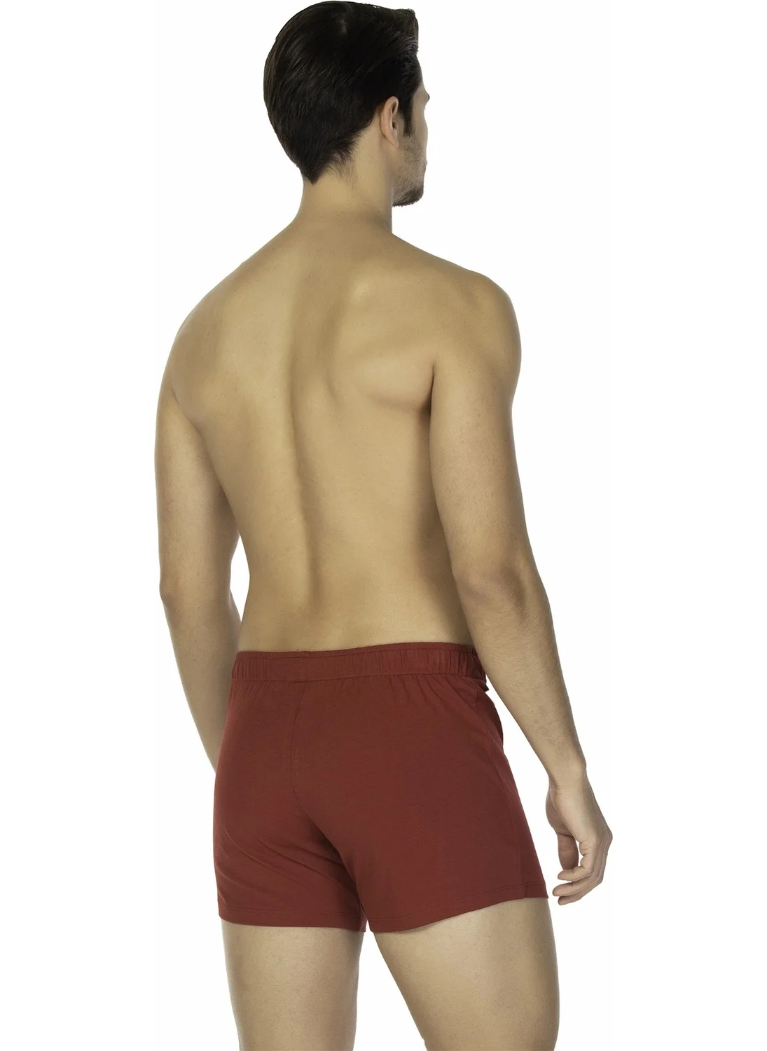 دي أس دامات D'S Groom Boxer