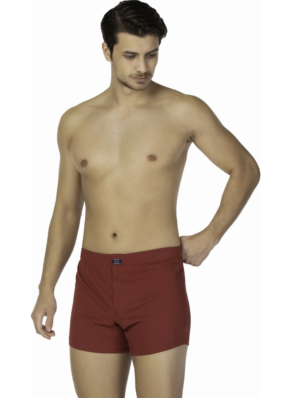 دي أس دامات D'S Groom Boxer