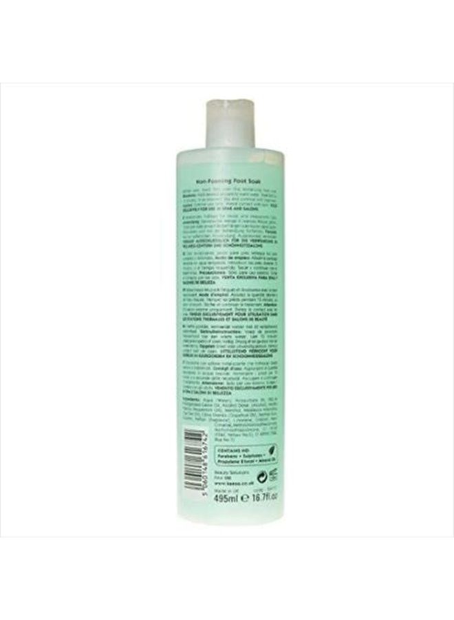 KAESO Peppermint Rain Non-Foaming Foot Soak 495 ml - Image 3