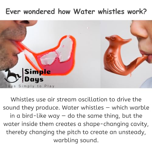 SIMPLE DAYS Kid Clay Bird Water Whistle (Set Of 2), Multicolor - Image 4