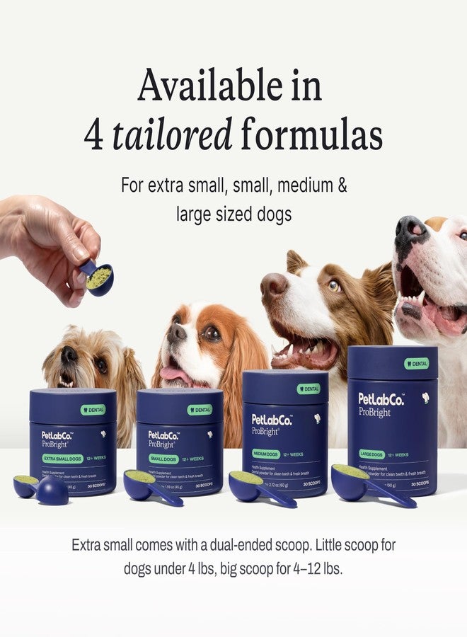 PetLab Co. ProBright Dental Powder - Dog Breath Freshener - Teeth Cleaning Made Easy - Targets Tartar & Bad Breath - Formulated for Extra Small Dogs - Packaging May Vary - Image 4